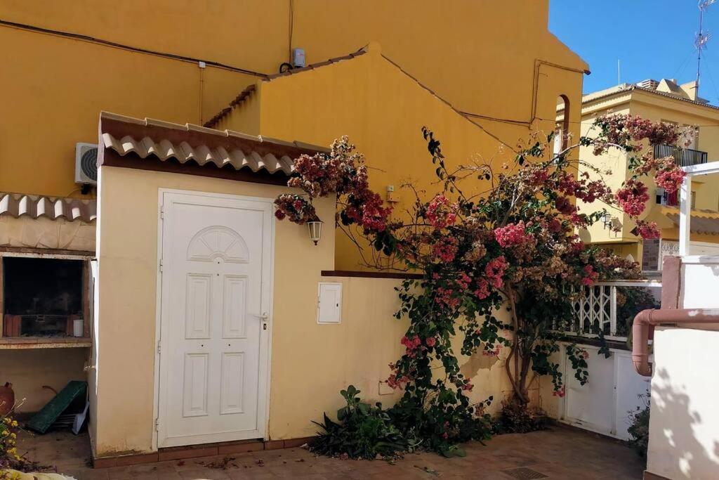 Mar Azul Adosado, Patio Y Solarium Lejlighed Torrevieja Eksteriør billede
